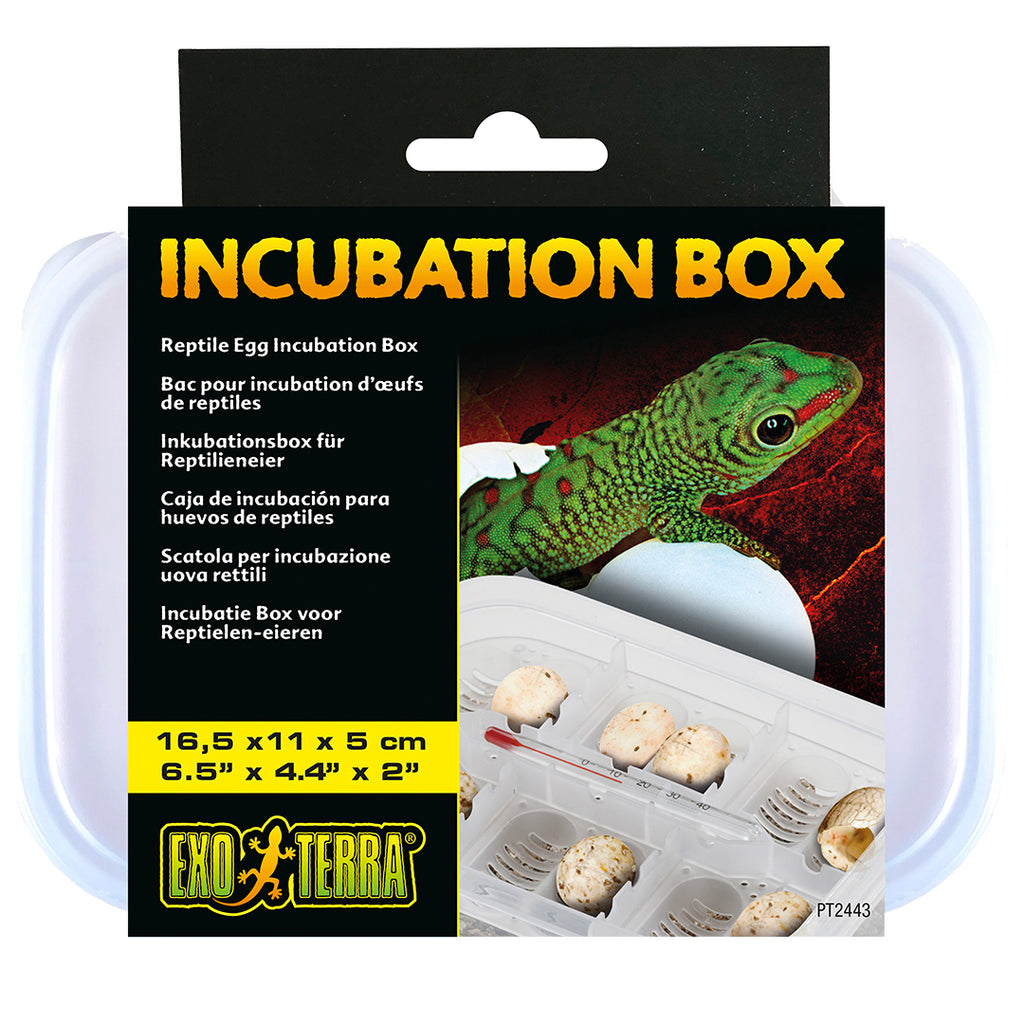 Exo Terra Incubatie box