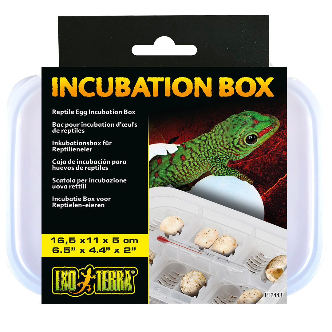 Exo Terra Incubatie box