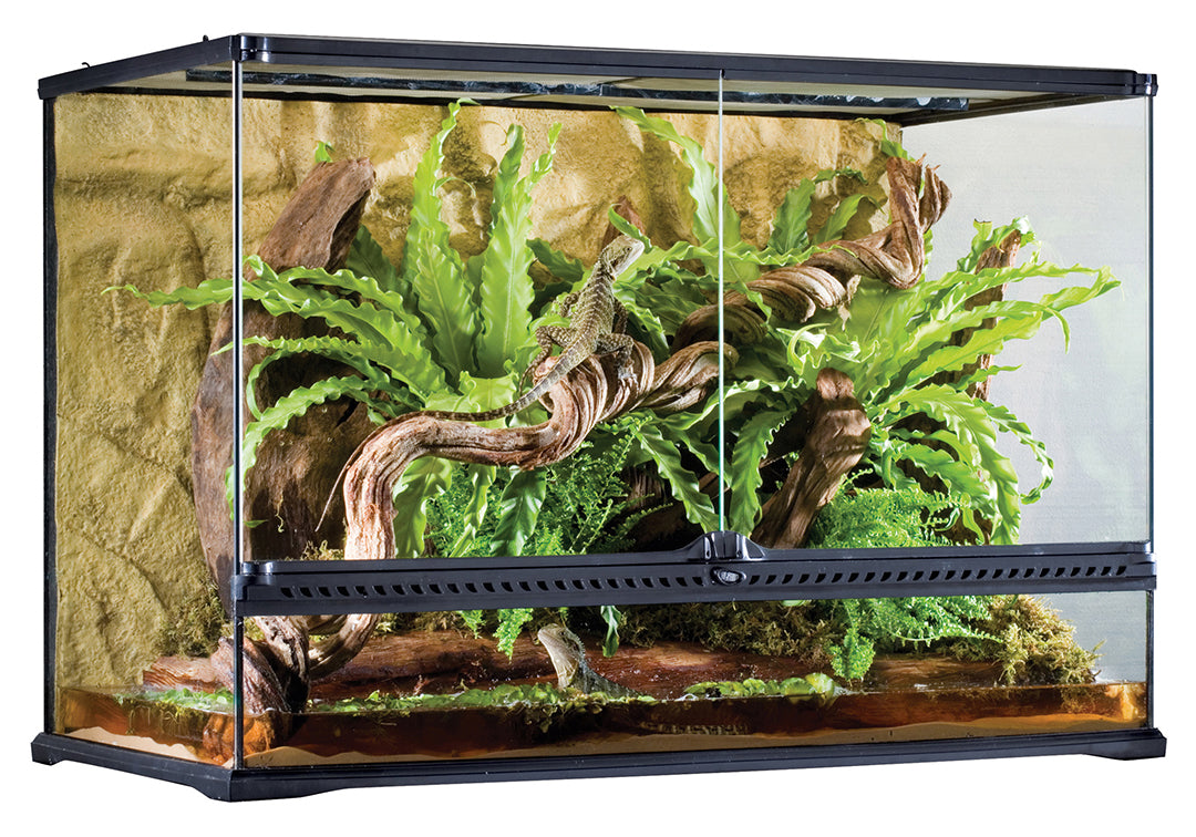 Exo Terra Glas Terrarium Incl. Achterwand 90x45x60CM