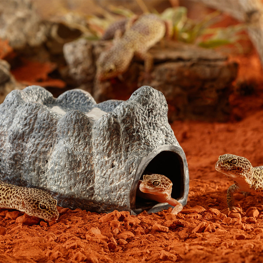 Exo Terra Wet Rock - Medium