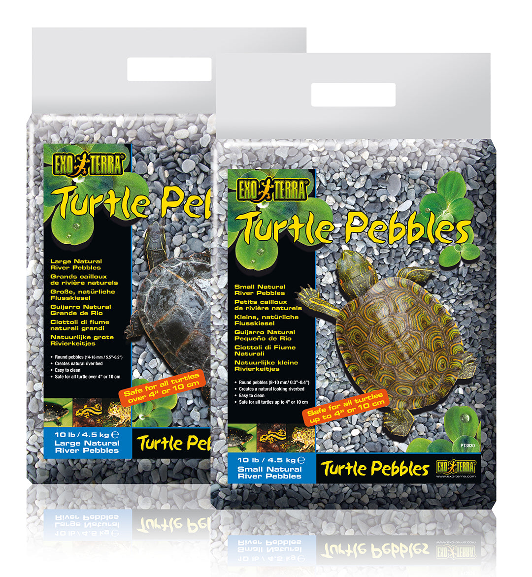 Rivierkiezel turtle l23b29.5h4.5cm