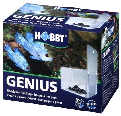 Hobby Genius Visval 21 x 13 x 15 cm