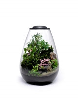 Wabi Kusa Bio Bowl 175 Incl. LED Black