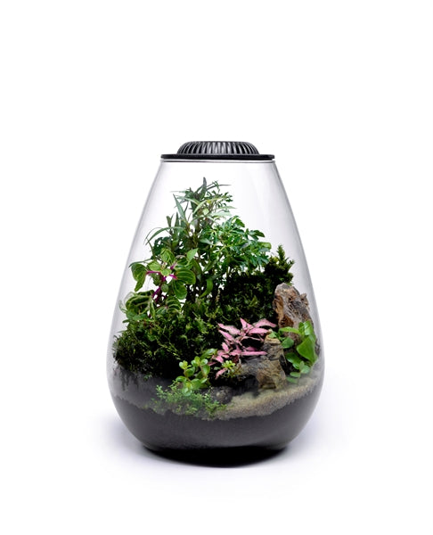 Wabi Kusa Bio Bowl 200 Incl. LED Black