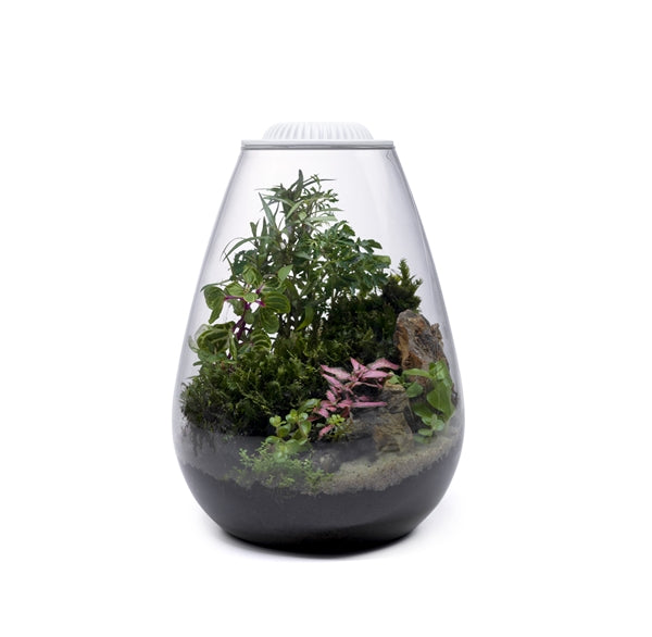 Wabi Kusa Bio Bowl 200 Incl. LED White