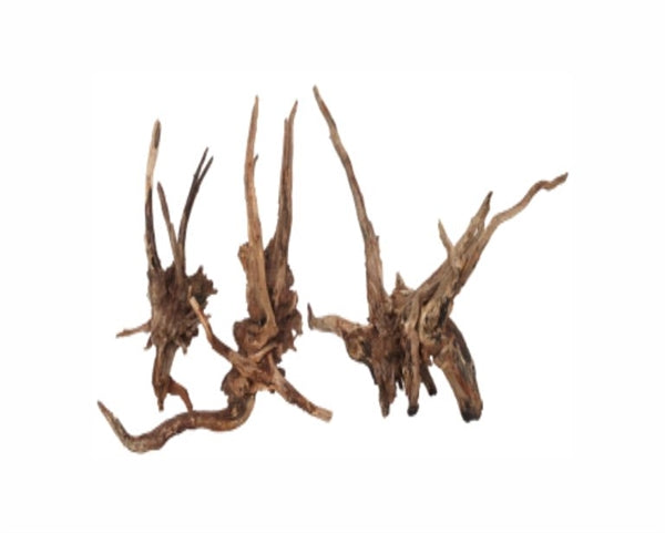 Wabi Kusa Dark Slim Wood 7-18 cm 2 st.