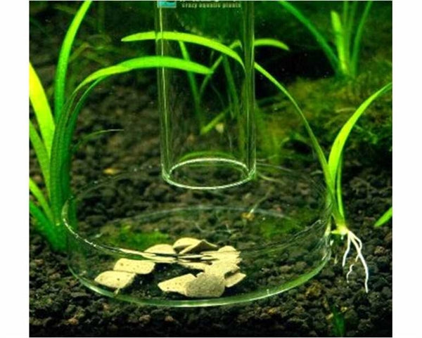 HS Aqua Glas-Futterteller