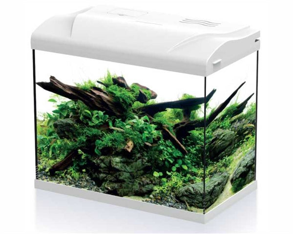 HS AQUA Aquarium Platy 30 LED Wit