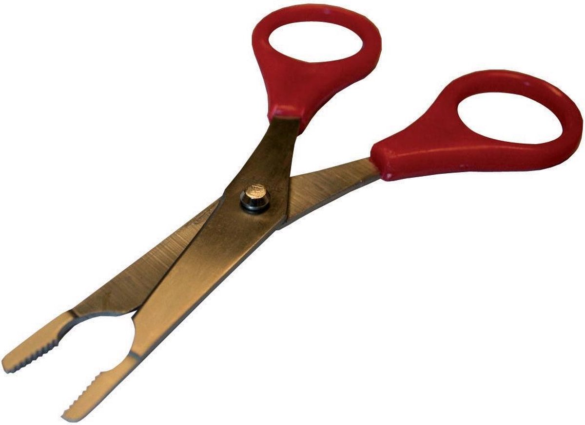 Albatros Wonderschaar