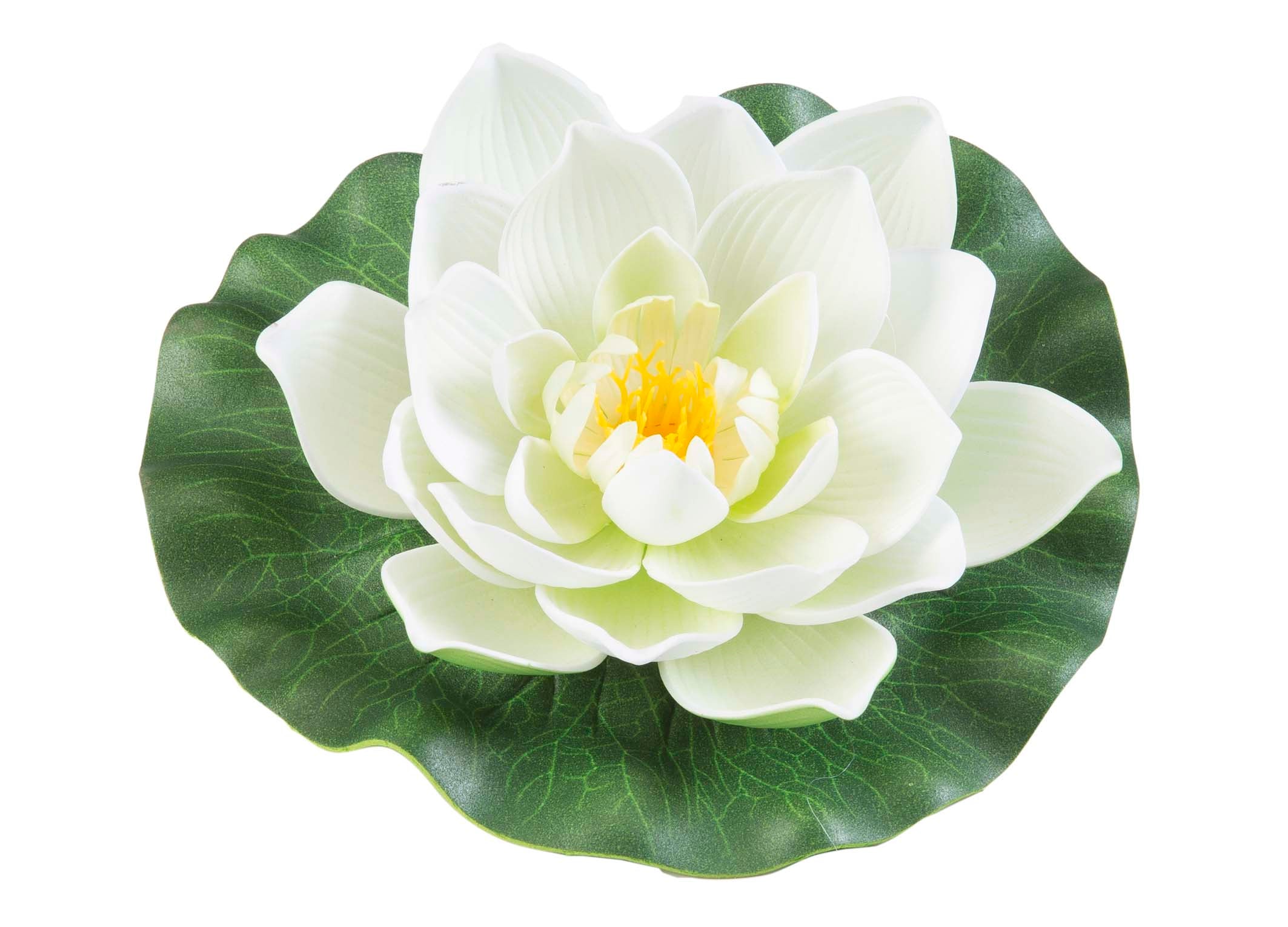 Lotus Foam White 17 cm