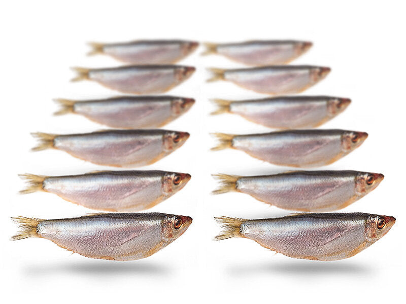 Prebaits Sprot - Vacuüm verpakt