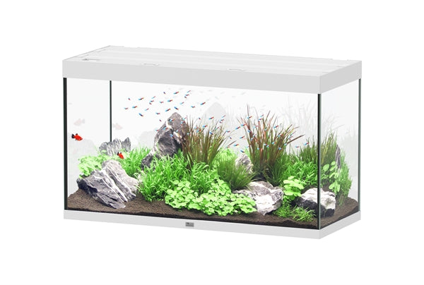 Aquatlantis Aquarium - Sublime 120x50 wit