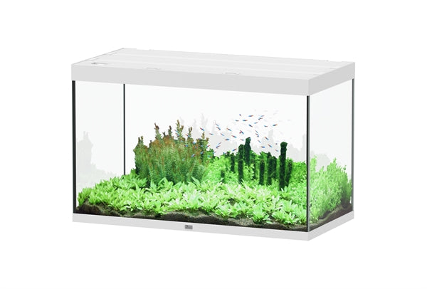 Aquatlantis Aquarium - Sublime 120x60 wit