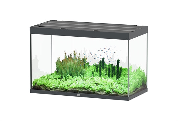 Aquatlantis Aquarium - Sublime 120x60 antraciet