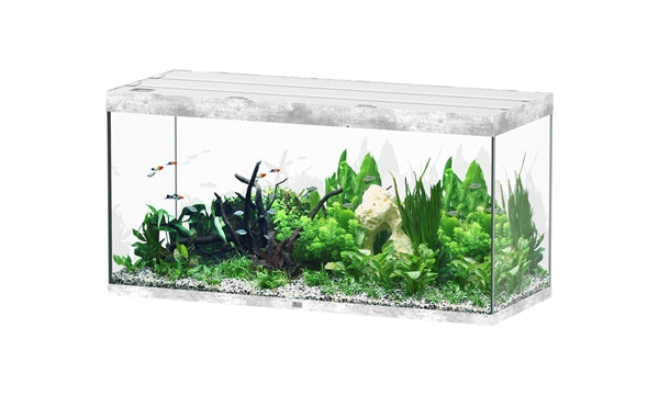 Aquatlantis Aquarium - Sublime 150x60 beton