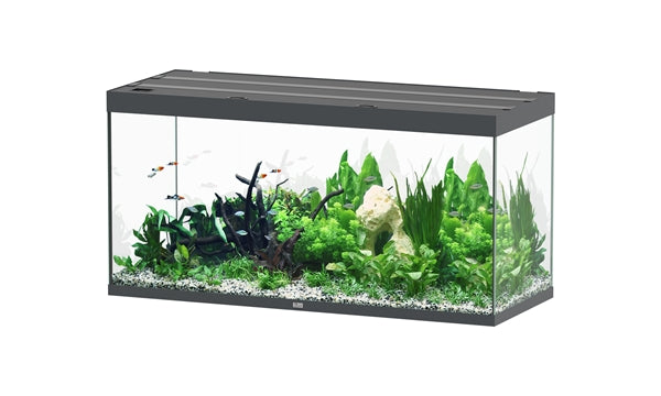 Aquatlantis Aquarium - Sublime 150x60 antraciet