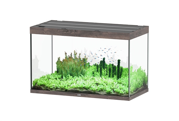Aquatlantis Aquarium - Sublime 120x60 donkerbruin