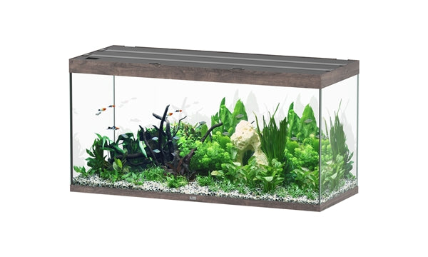 Aquatlantis Aquarium - Sublime 150x60 donkerbruin