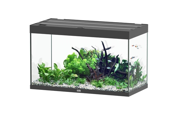 Aquatlantis Aquarium - Sublime 100x50 zwart
