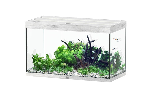 Aquatlantis Aquarium - Sublime 100x50 whitewash