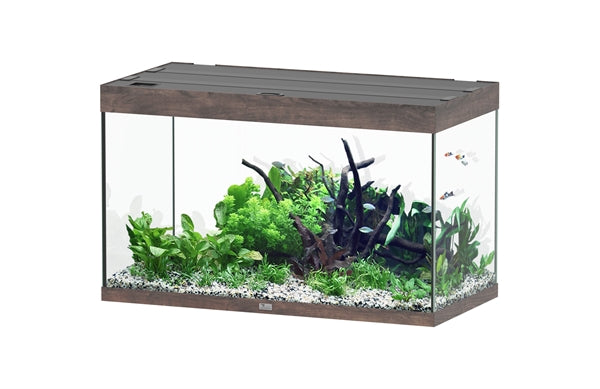 Aquatlantis Aquarium - Sublime 100x50 donkerbruin