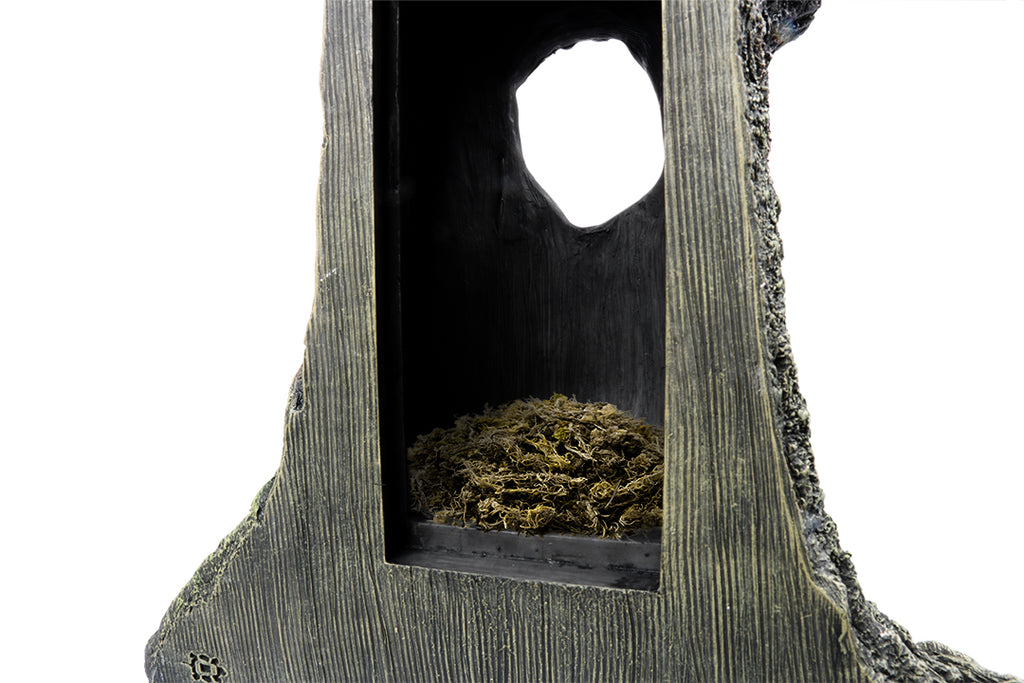 Terra Della Gekko Boom Decoratie