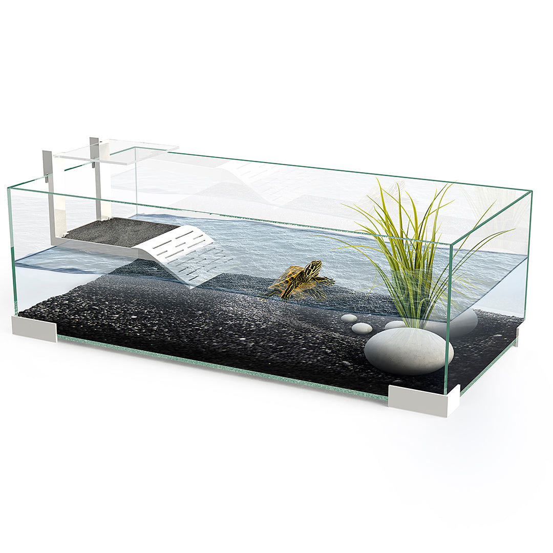 Ciano Tartarium 60
