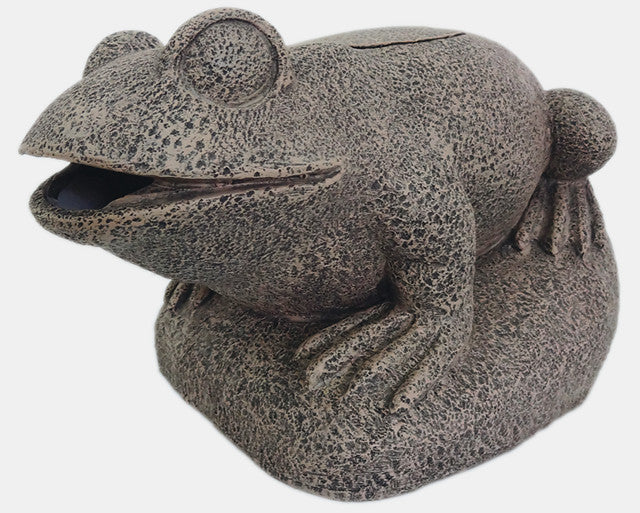 Superfish Kikker Decoratie + Filter