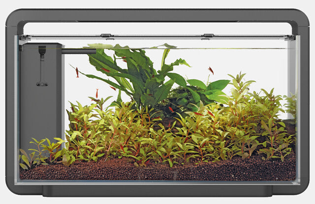 Superfish Home Aquarium 30 Zwart
