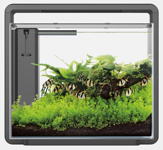 Superfish Home Aquarium 45 Zwart