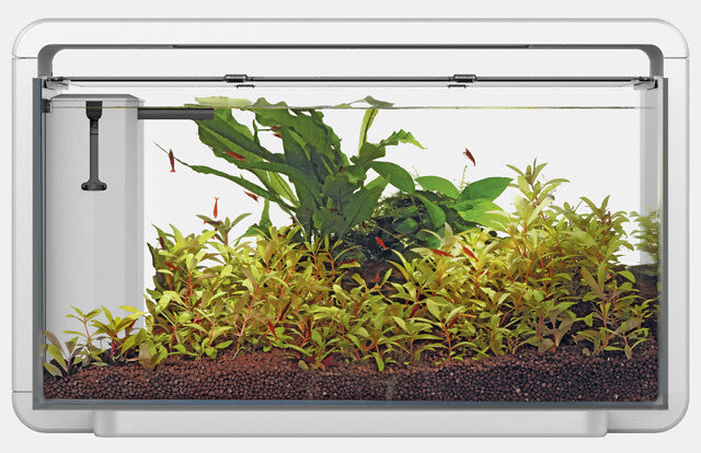 Superfish Home Aquarium 30 Wit