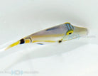 Rhinecanthus lunula - Halfmoon picassofish