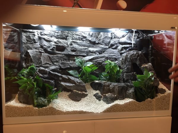 CeramicNature Achterwand Rock Grijs 80x40