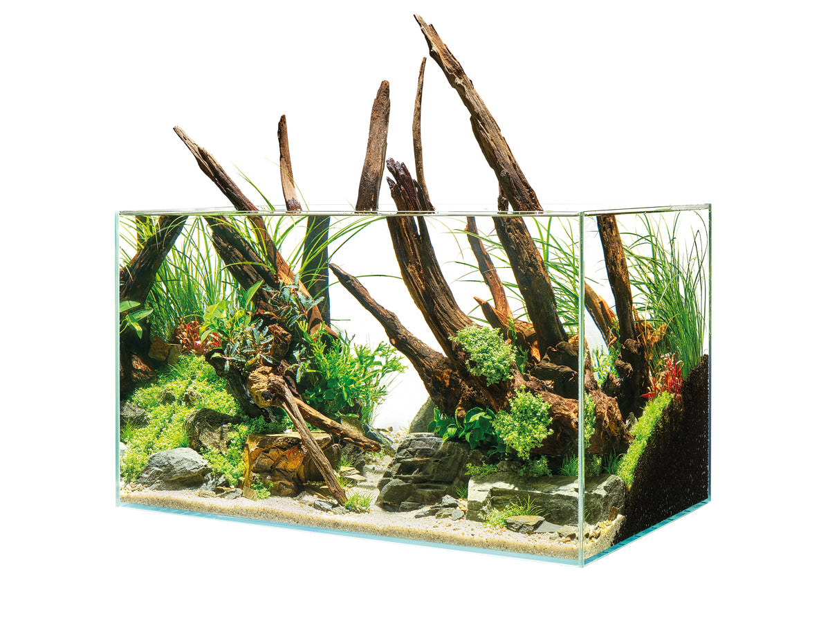 Oase Pro ScaperLine 60 Aquarium