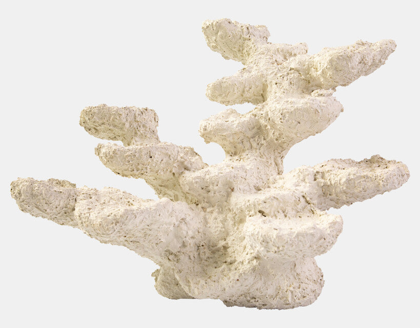 Blue Marine Marine Rock Standing