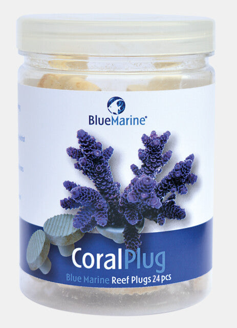 Blue Marine Coral Plugs 24st
