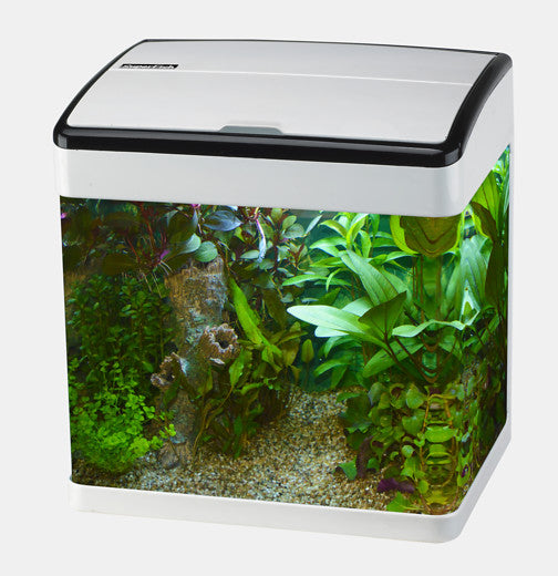 Superfish Panorama Aquarium 50 Wit