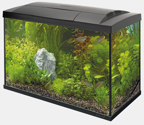 Superfish Start Tropical Kit Aquarium 70 Zwart