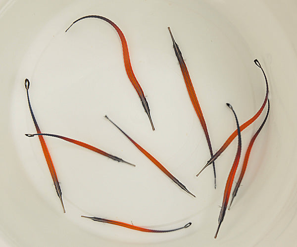 Doryrhamphus janssi - Janssi Zeenaald