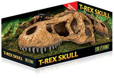 Exo Terra T-Rex Schedel Fossiele Schuilplaats
