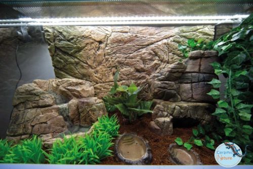 CeramicNature Rückwand Terrarium Dünn 120x60