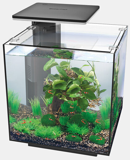 Superfish Qubiq Aquarium 30 Pro Zwart