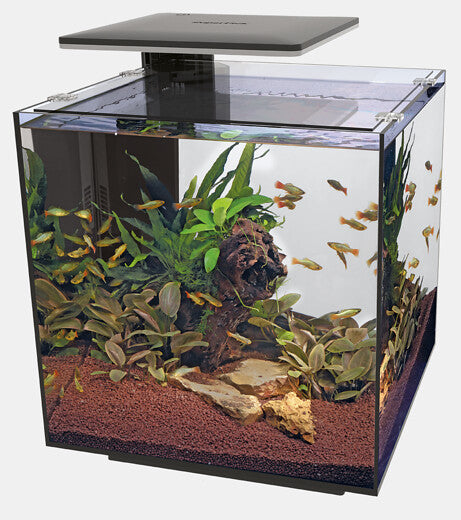Superfish Qubiq Aquarium 60 Pro Zwart