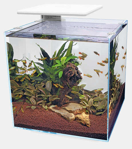 Superfish Qubiq Aquarium 60 Pro Weiß