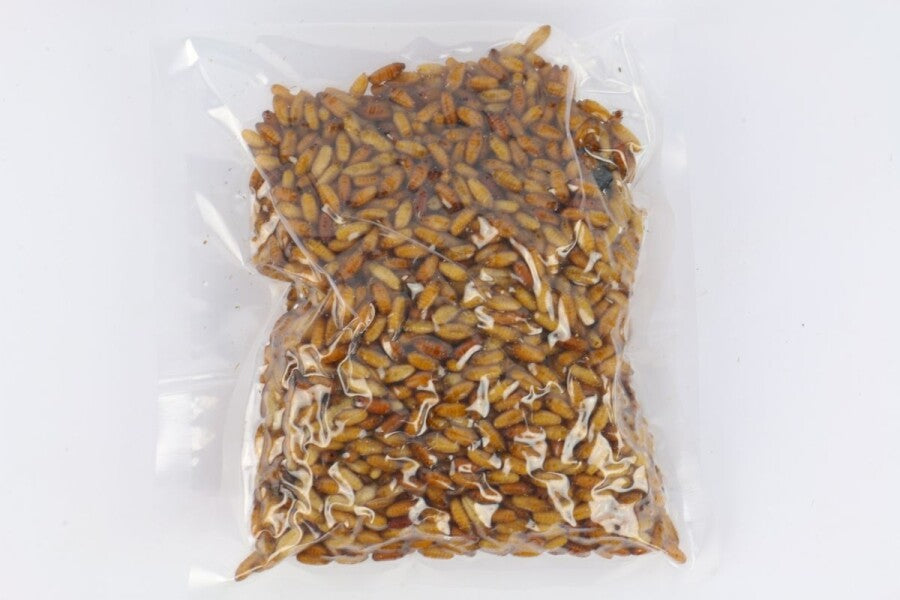 Casters Groot 1/2 Liter Vacuum