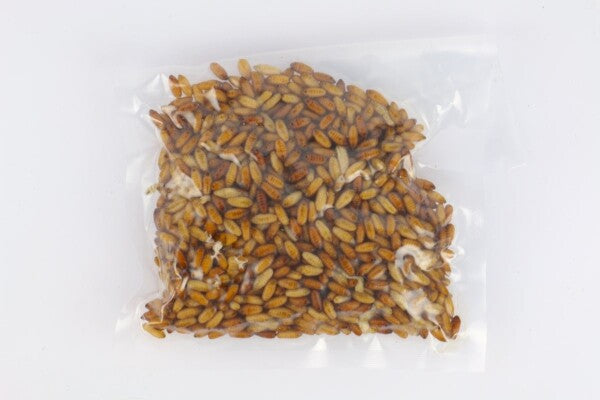 Casters Speciaal Vacuum