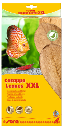 Sera Catappa Leaves XXL 32cm