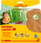 Sera Catappa Leaves M 18cm