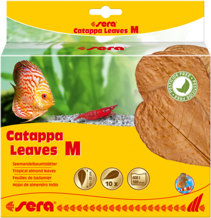 Sera Catappa Leaves M 18cm