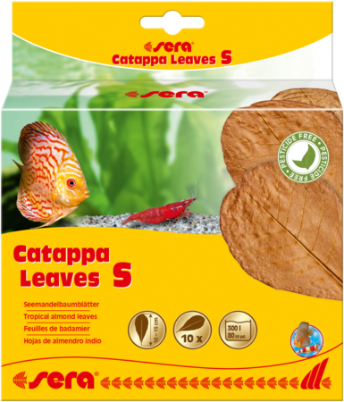 Sera Catappa Leaves S 14cm